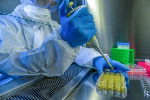 Phát hiện virus lạ gây chết người ở Bolivia