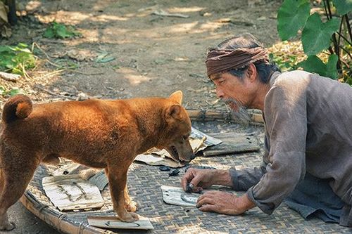 Phim 'Cậu Vàng' tung teaser trailer: Xót xa cảnh Lão Hạc bán chú chó Vàng