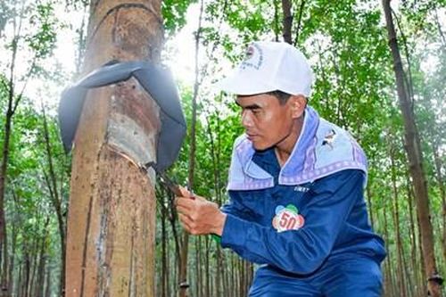 'Bàn tay vàng' khai thông dòng nhựa trắng