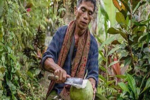 Nhà trường chấp nhận học phí bằng… lá cây và dừa