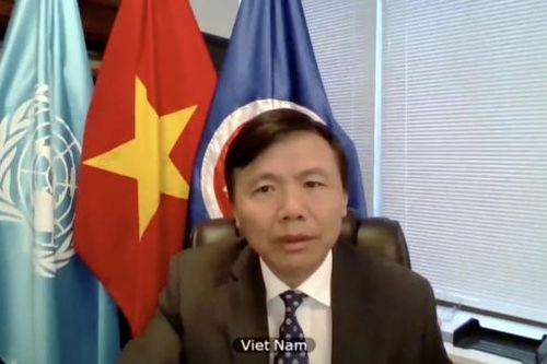 Hội đồng Bảo an thảo luận về tình hình khu vực Sahel, châu Phi