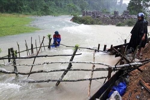 Phục hồi sản xuất, đảm bảo lương thực cho người dân miền Trung sau mưa lũ