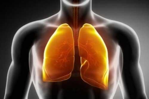 Những thực phẩm giúp thanh lọc phổi