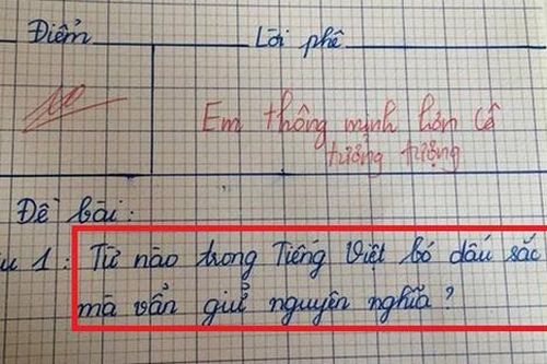 Đáp án câu đố mẹo của cô học trò lớp 3 khiến giáo viên bất ngờ: 'Em thông minh hơn cô tưởng tượng'