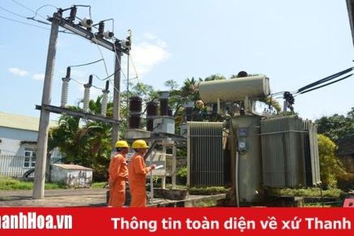 Điện lực Hậu Lộc: Thực hiện các biện pháp cấp điện an toàn phục vụ sản xuất và dân sinh