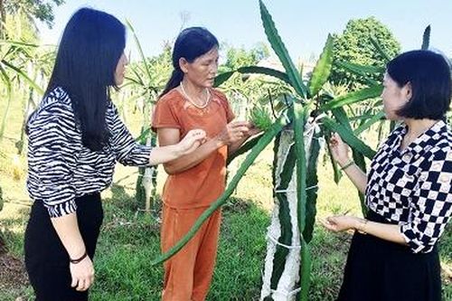Đảng viên, chi hội trưởng chi hội phụ nữ tiêu biểu
