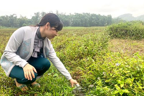 Yên Lập đảm bảo môi trường trong chăn nuôi