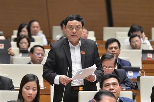 Đại biểu Quốc hội tỉnh Quảng Trị tham gia ý kiến về việc tách Luật Giao thông đường bộ hiện hành