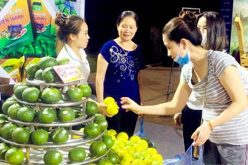 Ưu tiên tiêu thụ cam sành Hàm Yên