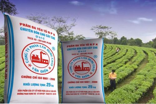 Sử dụng phân bón Văn Điển - Hướng đi mới trong canh tác nông nghiệp bền vững