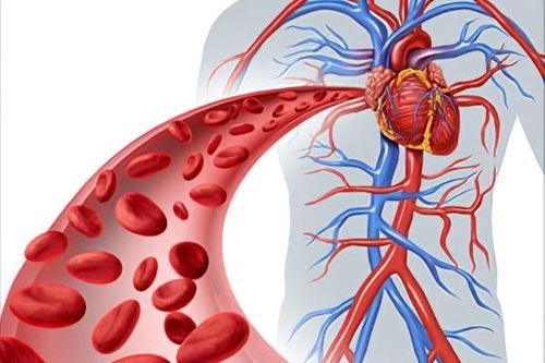 Khi hệ tim mạch bị suy giảm chức năng…