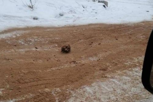 Phát hiện xương và sọ người trên cao tốc băng giá ở Siberia
