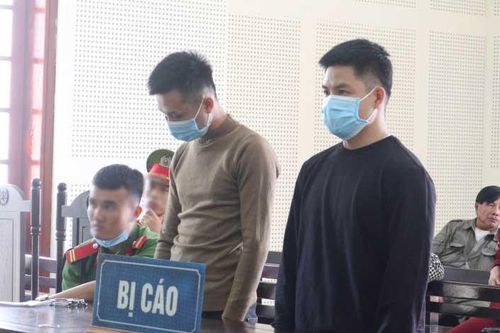 Đôi bạn cùng... lùi!