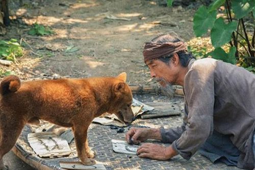 Teaser trailer phim 'Cậu Vàng' hé lộ tình tiết khác nguyên tác