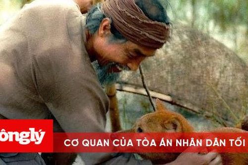 Sau ồn ào, 'Cậu Vàng' chính thức tung teaser trailer đầy bi kịch