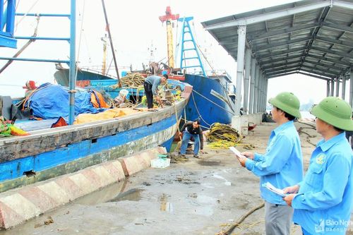 Nghệ An: Gần 66.000 tấn hàng hóa thủy sản thông qua hệ thống cảng cá