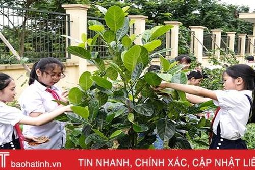 Thi kể chuyện cây xanh và chuyện về một chiến dịch ý nghĩa