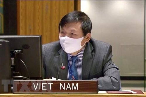 Hội đồng Bảo an Liên hợp quốc họp bàn về tình hình Liban và Mali