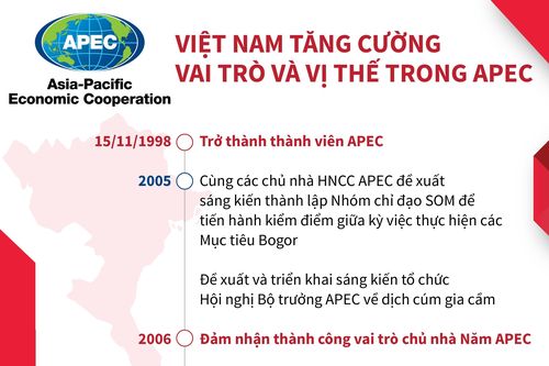 Việt Nam tăng cường vai trò và vị thế trong APEC