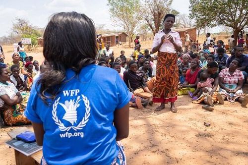 Giám đốc điều hành WFP không tới nhận giải Nobel Hòa bình do COVID-19