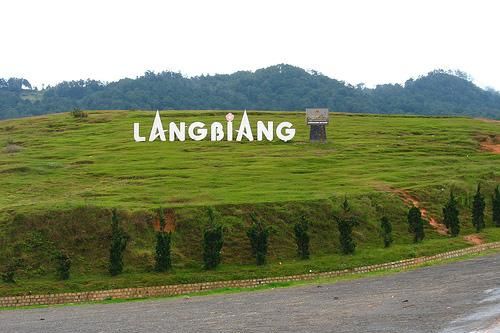 Lâm Đồng đình chỉ hoạt động xe chở khách trong Khu du lịch Langbiang