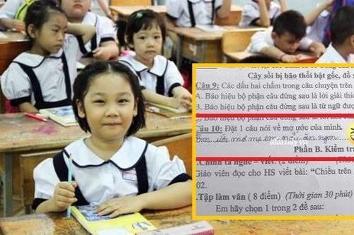 Nhận đề bài 'nói về ước mơ của mình', học trò lớp 4 viết một câu khiến phụ huynh phải ngượng chín mặt