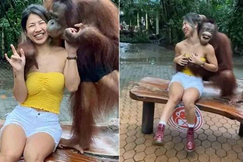 Clip: Thản nhiên ôm hôn, sàm sỡ 'vòng 1' của gái xinh, đười ươi còn nhe răng cười nhăn nhở