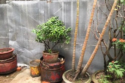 Vụ gia đình chính sách bị gây khó khăn khi xây dựng nhà tình nghĩa: Sẽ sớm ban hành quyết định xử phạt vi phạm hành chính