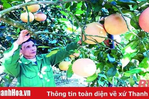 Xây dựng nhãn hiệu cho sản phẩm nông nghiệp - yếu tố quan trọng để phát triển thị trường