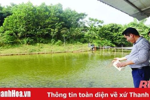 Phát triển nghề nuôi trồng thủy sản ở huyện Bá Thước