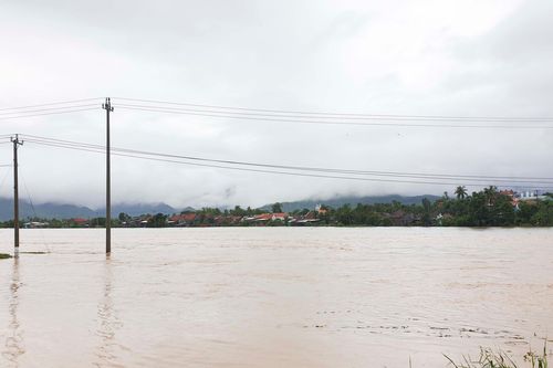 Vạn Ninh: Ngành nông nghiệp thiệt hại 25 tỷ đồng do bão số 12