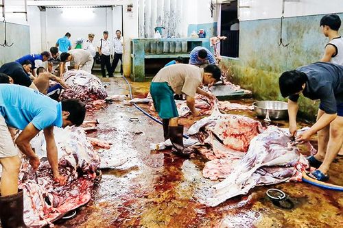 Khu giết mổ gia súc, gia cầm tập trung: Cần sớm triển khai