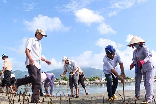 Các cơ sở tôn giáo chung tay bảo vệ môi trường