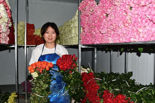 Cận lễ 20/11 các loại hoa tăng giá mạnh