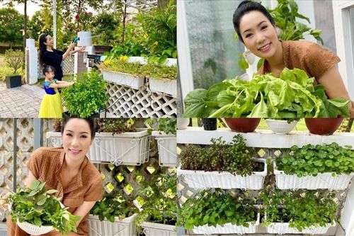 Khám phá khu vườn trong biệt thự 200m2 của NSƯT Trịnh Kim Chi