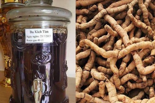 Ngoài tăng cường 'bản lĩnh đàn ông', rượu ba kích còn có tác dụng gì?