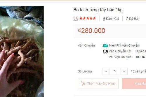 Ba kích tươi bán tràn 'chợ' mạng