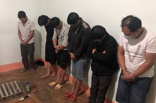 Truy tố nhóm đối tượng trộm chó ở Đắk Nông