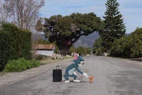 Cặp kỳ phùng địch thủ Tom và Jerry tái xuất trên màn ảnh rộng sau 3 thập kỷ