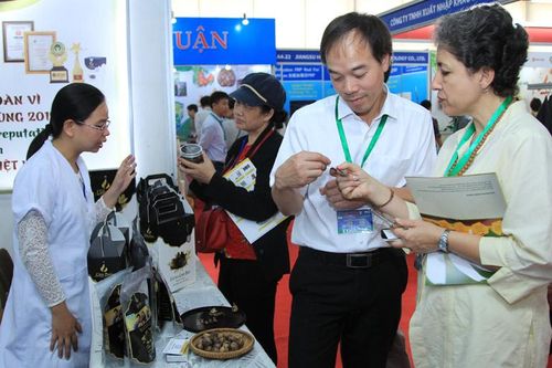 Hiệp định Đối tác Kinh tế toàn diện khu vực - RCEP: Động lực mới cho tăng trưởng kinh tế