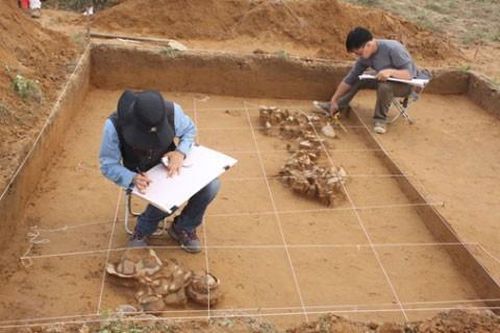 'Bãi Cọi - Nơi gặp gỡ các nền văn hóa'