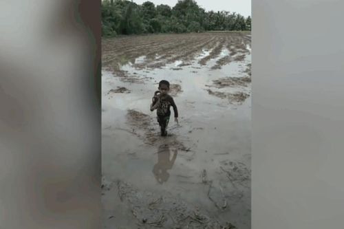 Cậu bé một mình chơi đùa với con rắn giữa ruộng