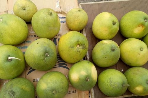 Sự thật 'ngã ngửa' bưởi Đoan Hùng 2.000 đồng/quả bán đầy chợ mạng