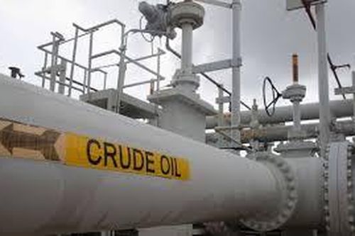 Giá xăng dầu hôm nay 19/11: Tăng nhẹ trước tin OPEC + cắt giảm nguồn cung
