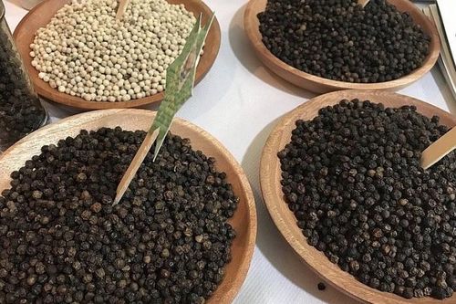 Giá hồ tiêu hôm nay 19/11: Đứng giá ở ngưỡng cao