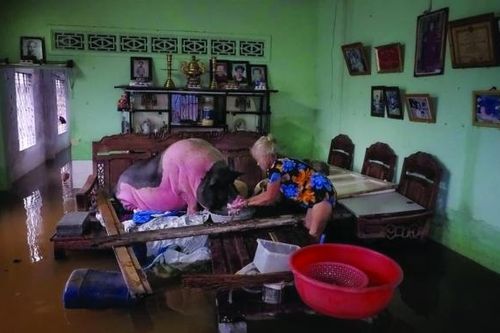Chính quyền đô thị TP. Hồ Chí Minh: Chớ để 'bình mới rượu cũ'