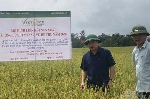 Tăng thể chế để ngân hàng tiếp sức doanh nghiệp, nông dân xuất khẩu nông thủy sản sang EU