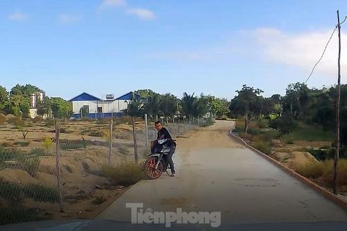 Khánh Hòa: Núi Hòn Rồng tiếp tục bị 'cày xới' để xây dựng trái phép