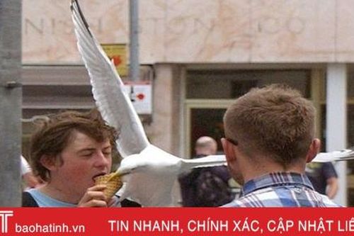 Các quý ông nghịch dại khiến chị em cũng phải thấy 'thốn'