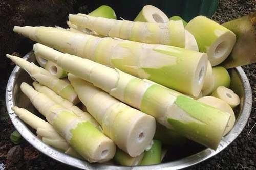 Mẹo khử sạch vị đắng của măng tươi đơn giản trong vòng '1 nốt nhạc'